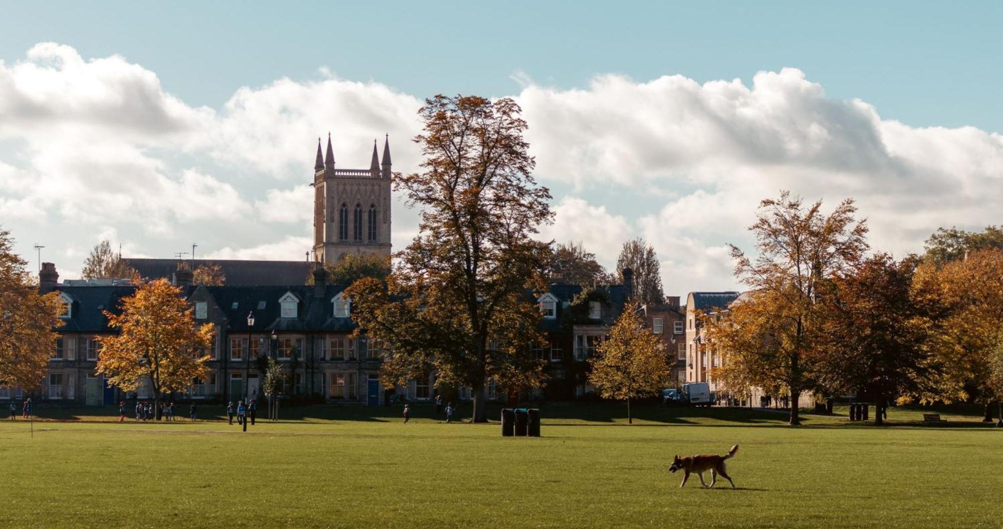 - At Addenbrooke Hospital And Bio Campus - Free Private Parking *